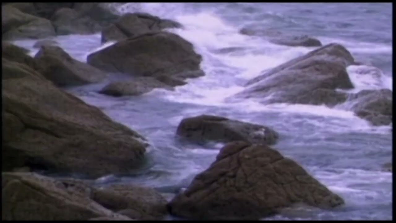 A DAY WITHOUT RAIN (Official Video) - Enya