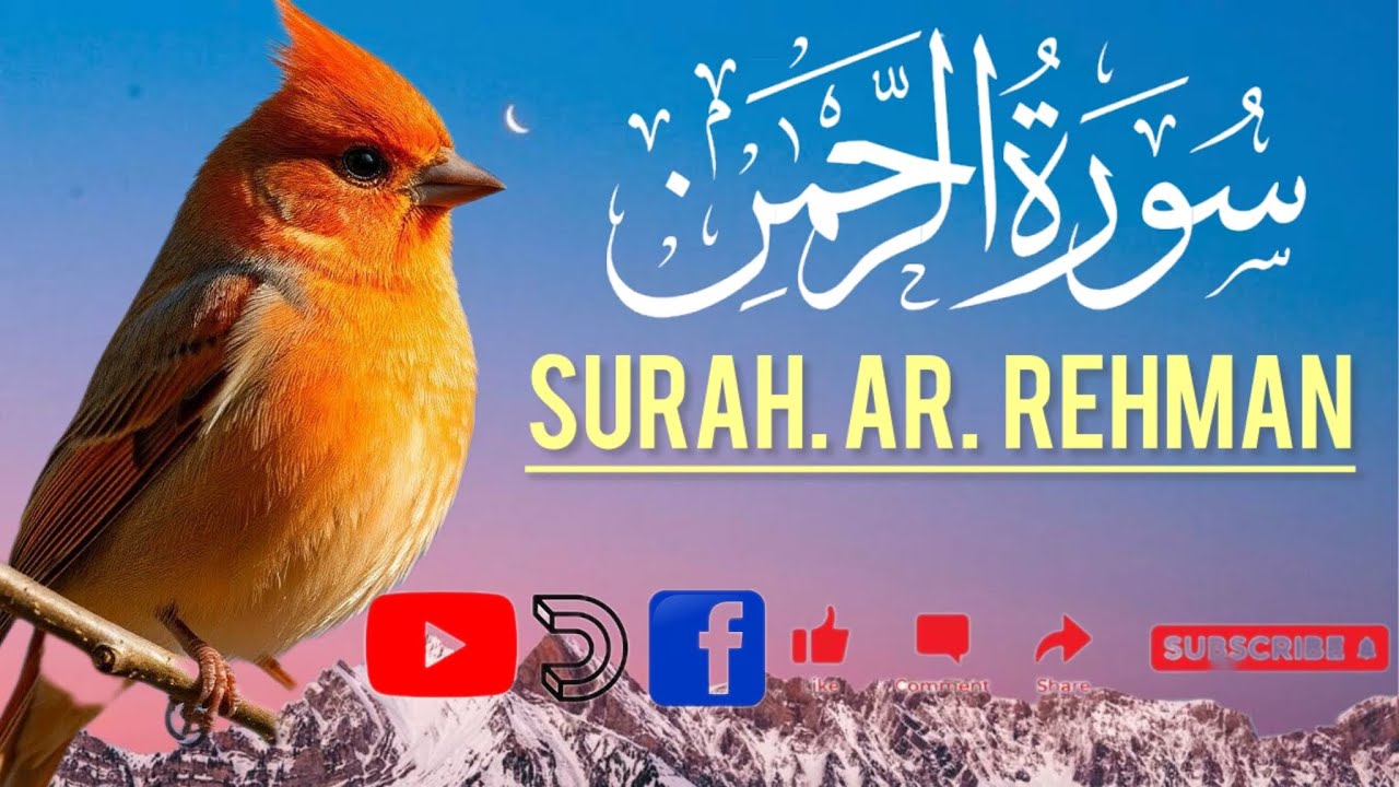 Ar Rahman Surah Beautiful Voice / Quran Recitation Surah Rahman /  Surah Rahman Ki Tilawat