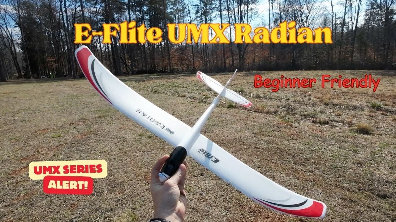 Good SMALL Trainer UMX Radian!