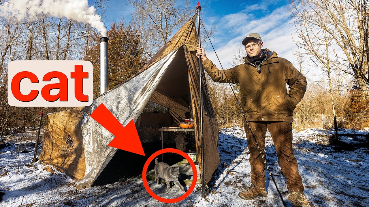 Winter Solo Camping | 9°F and Surprise Visitors