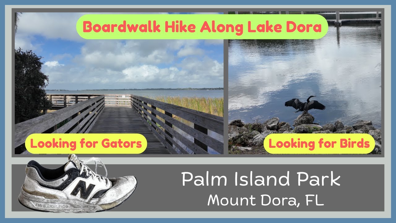 Palm Island Park Hike with Ambient Sounds 4K Ultra-HD