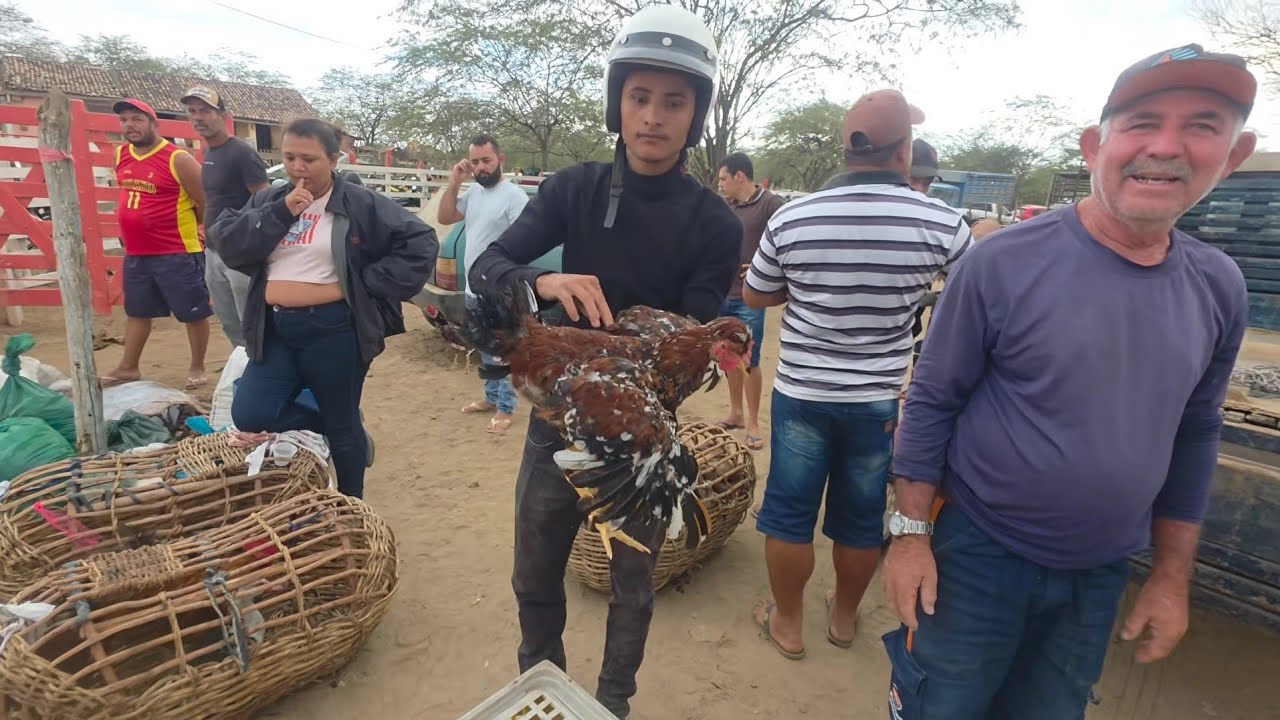FEIRA DA GALINHA DE S.C.C-PE 02/02/2026