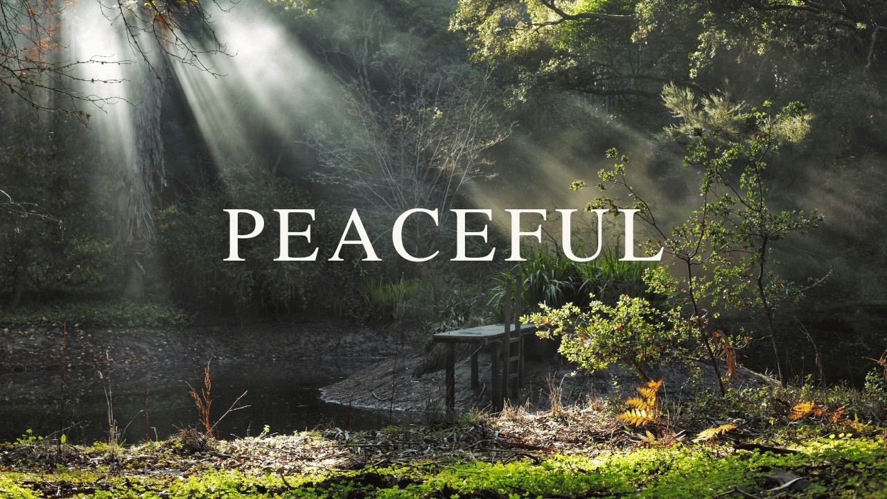 Peaceful Relaxing Guitar Music | Work Study Focus | 1 Hour