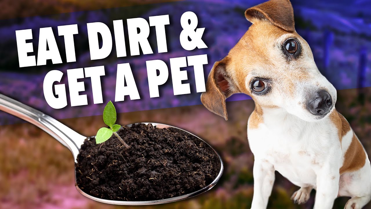 Allergies? You’ve GOT to see this | Ep136