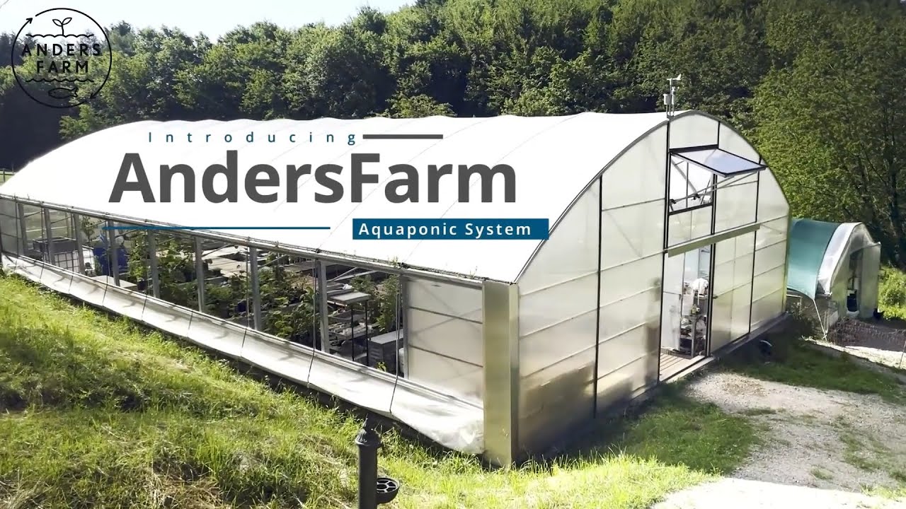 Introduction to our Aquaponics System - AndersFarm