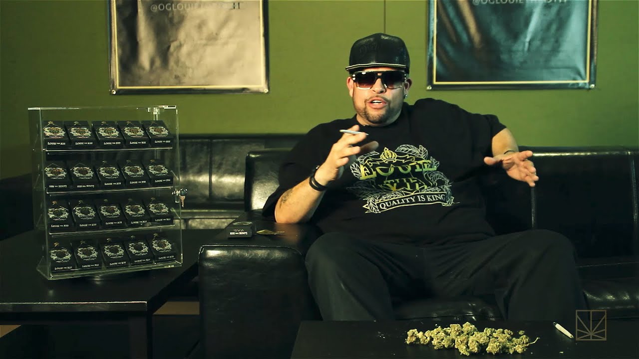 Seed to Strain: Louie XIII