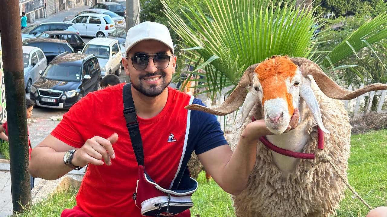 اجواء عيد الاضحى في الجزائر 🇩🇿 اجواء خيالية ماشاء الله 2023 ❤️