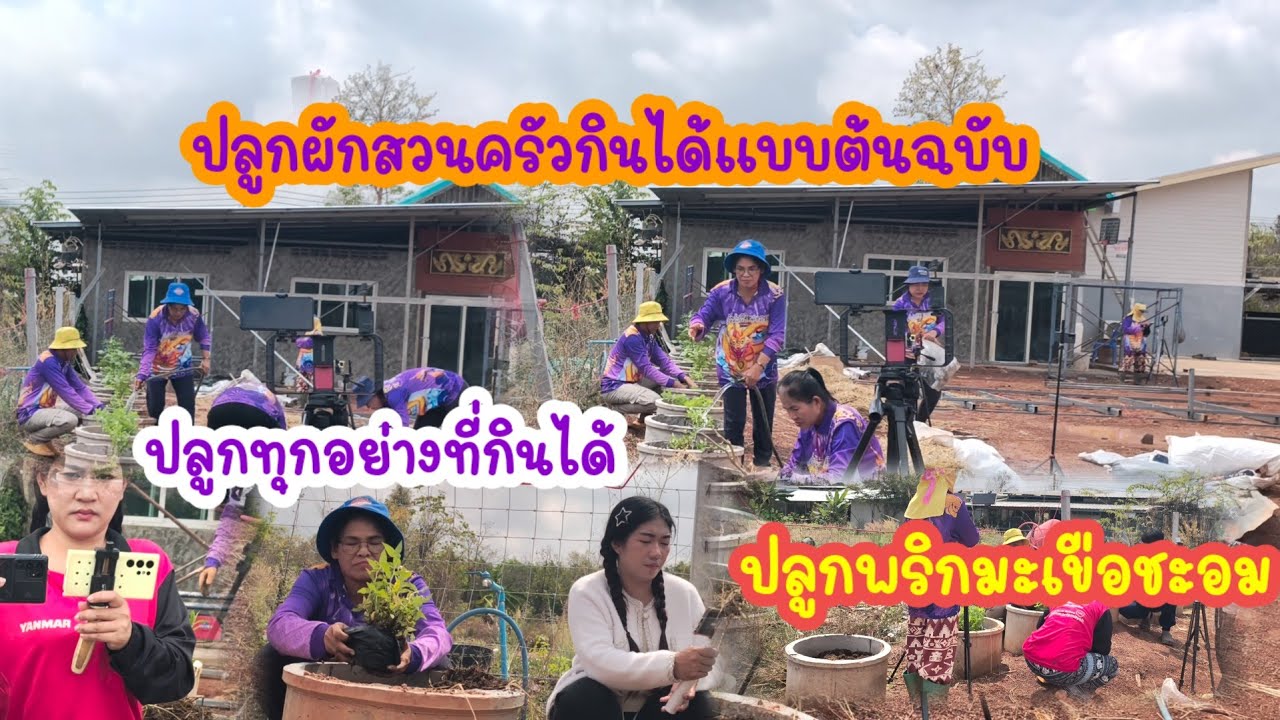 ปลูกผักสวนครัวรั้วกินได้บ้านป้าแต๋นลุงพล