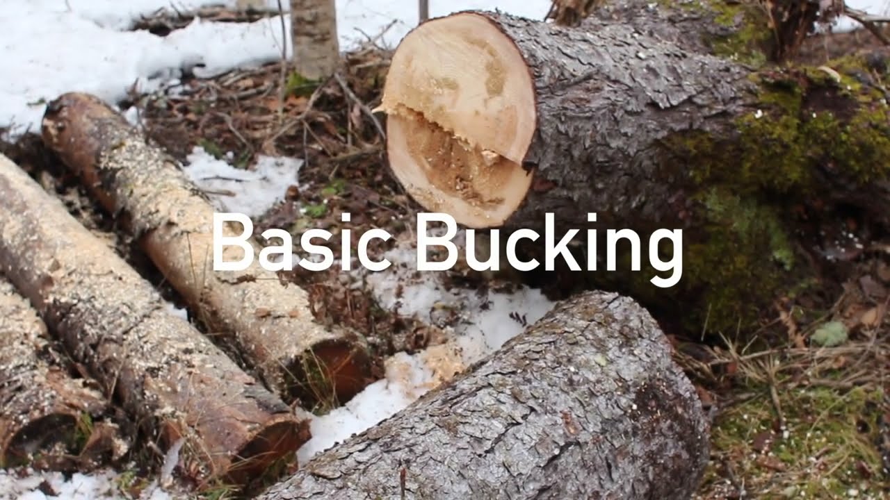 Basic Bucking