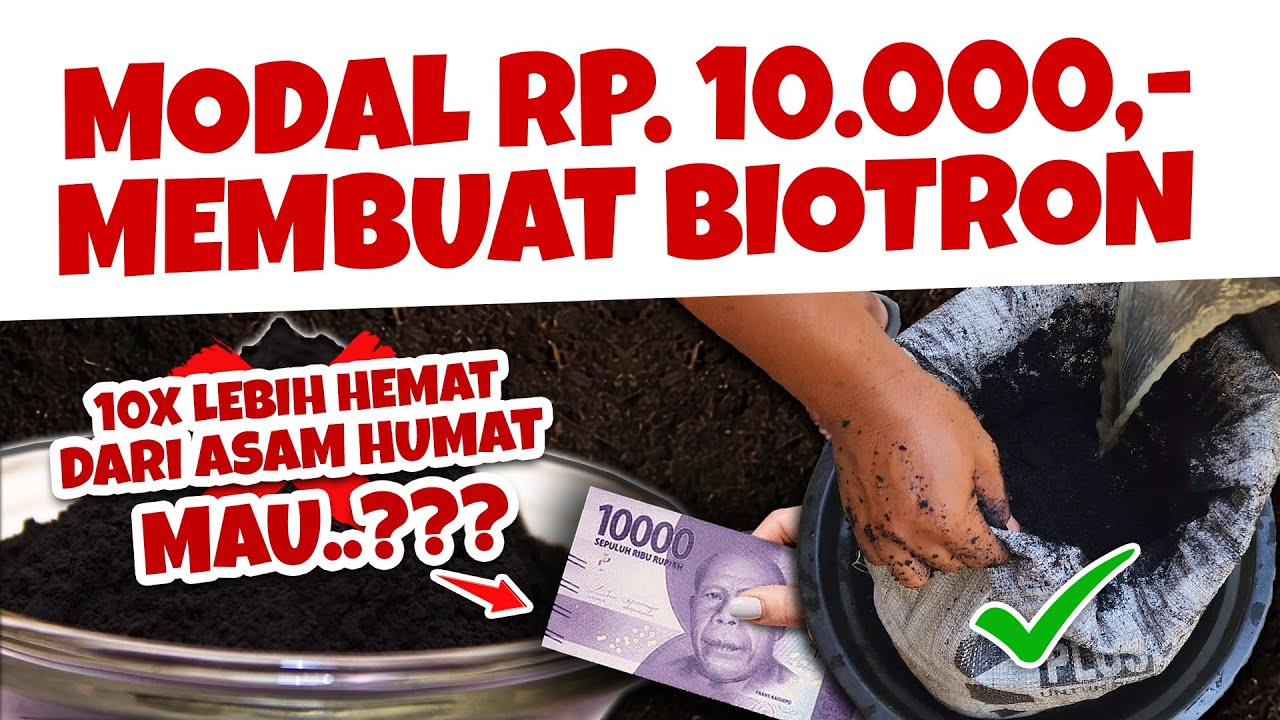 MODAL Rp. 10.000, LEBIH HEMAT DARI ASAM HUMAT. MAU.?? MEMBUAT BIOTRON / BIOCHAR AKTIF PENYUBUR TANAH