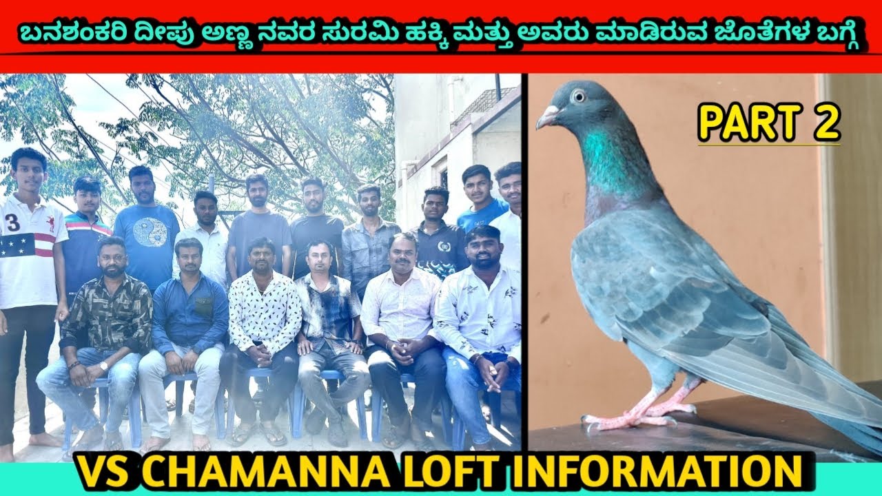 ಬನಶಂಕರಿ ದೀಪು ಅಣ್ಣ ನವರ ಸುರಮಿ ಹಕ್ಕಿ ಮತ್ತು ಅವರು ಮಾಡಿರುವ ಜೊತೆಗಳ ಬಗ್ಗೆ  ✨