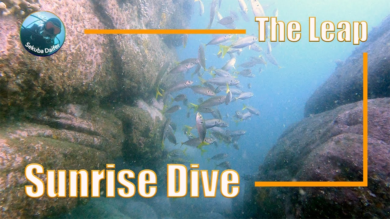 Sunrise Dive | Scuba Dive at The Leap | Tue, 22 Feb 2022
