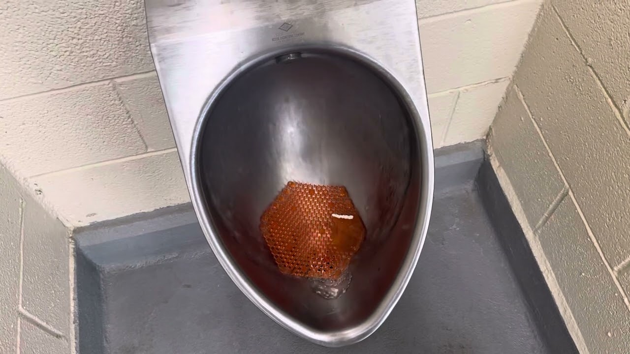 Men’s Restroom at Seal Beach