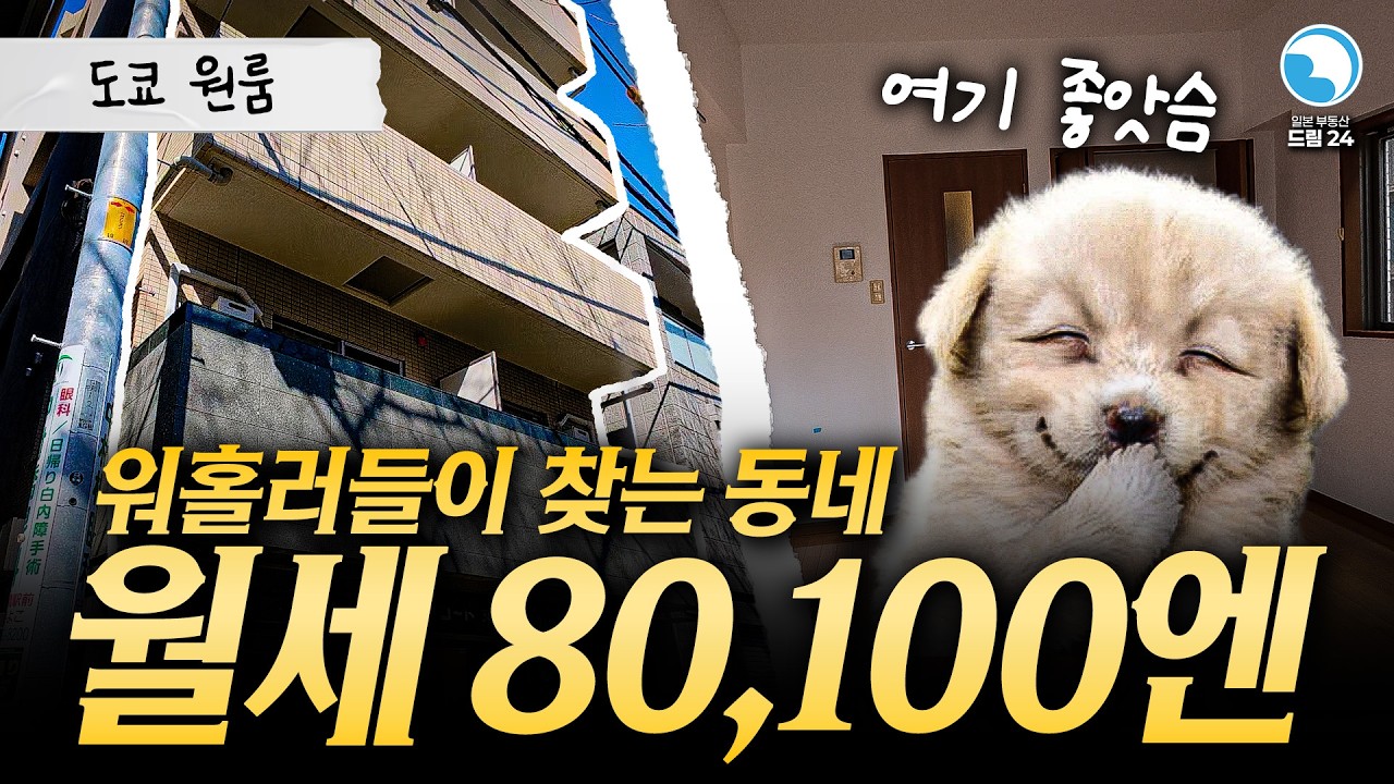 [네리마구]💸80,100엔 원룸💸워홀러들에게 이런 동네를 추천해봄! (with 도쿄 부동)
