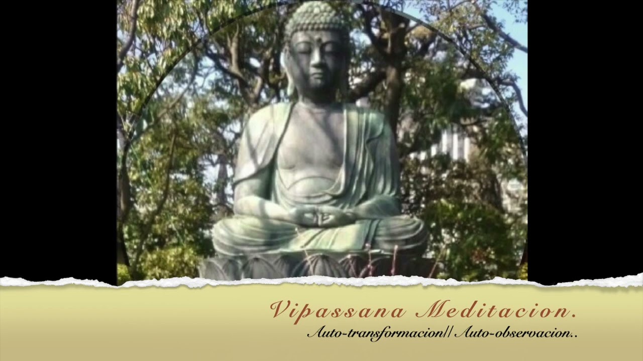 DIA 8/10 GOENKA // CURSO VIPASSANA MEDITACION