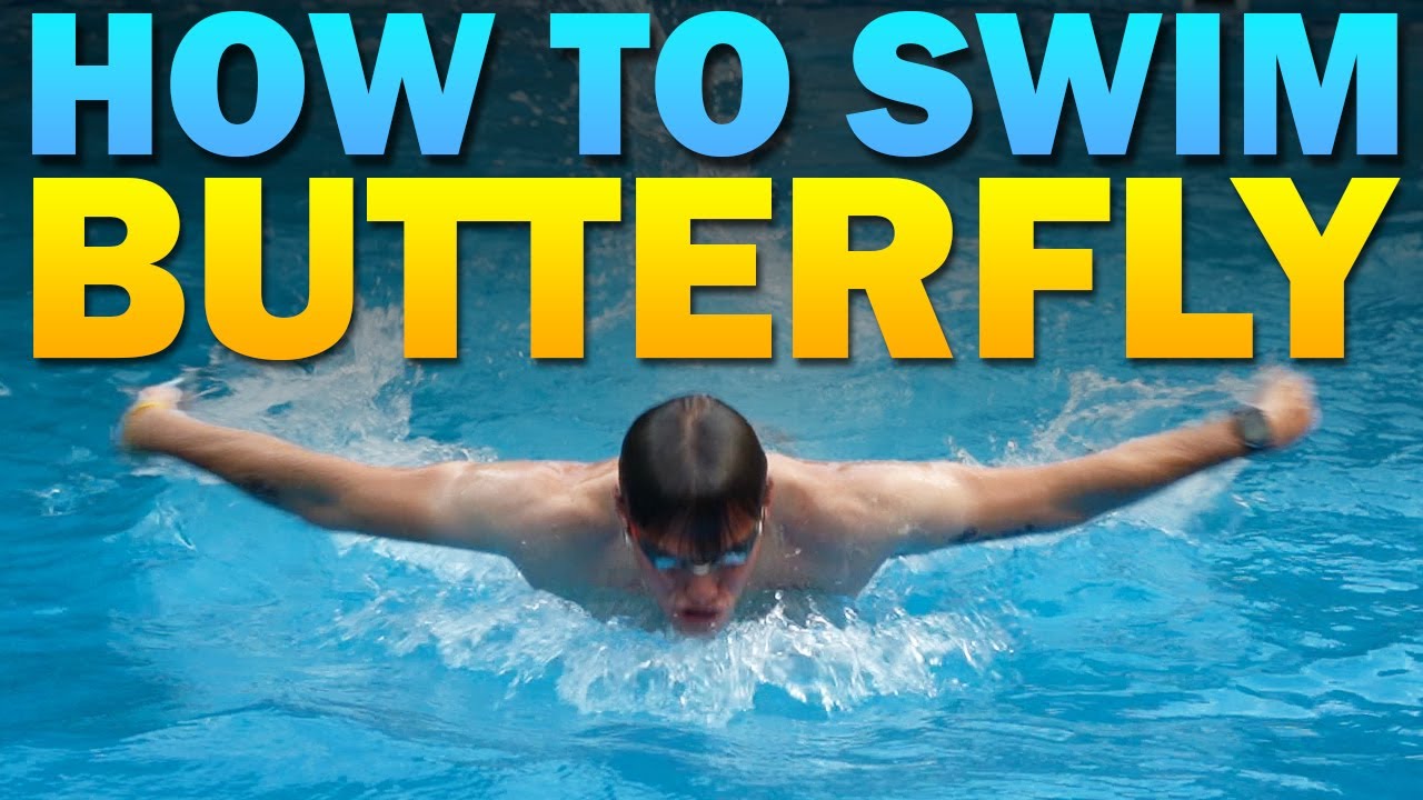 Get Better at the Butterfly Stroke: Expert Tips and Techniques for All Levels