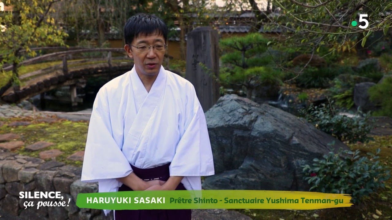 Portrait : le Festival des Chrysanth&egrave;mes au Japon - Silence, &ccedil;a pousse !