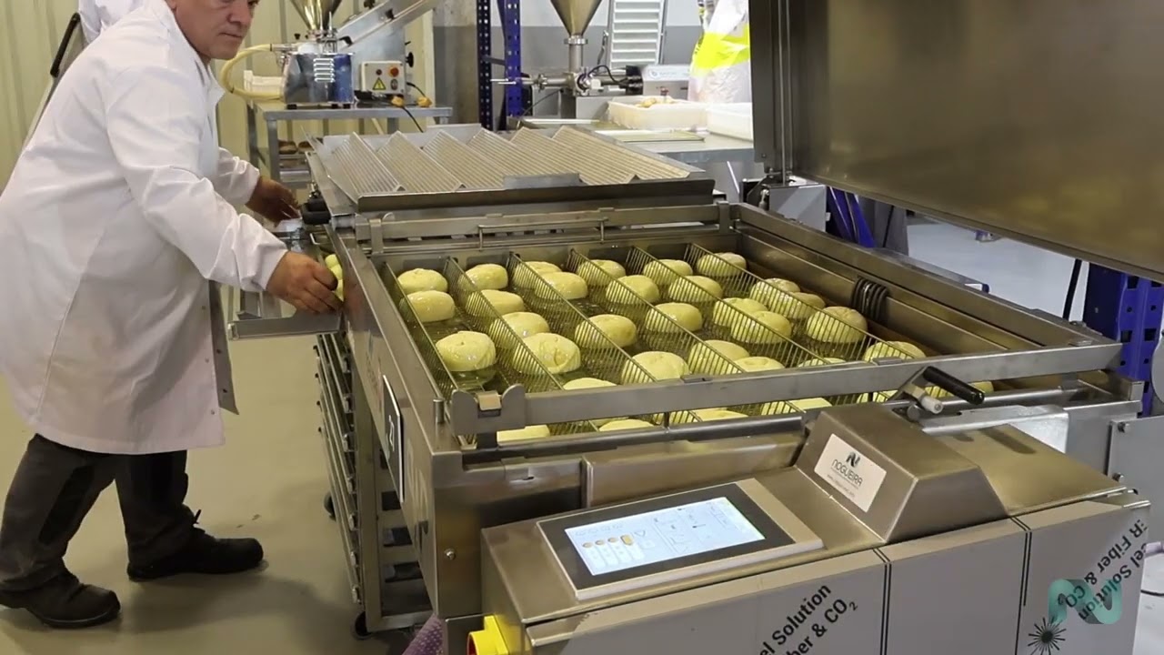 Nogueira Interactiva 2024 | Fritadeira Automática