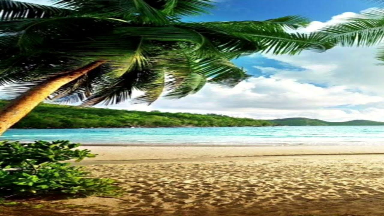 269  Twinteam Together