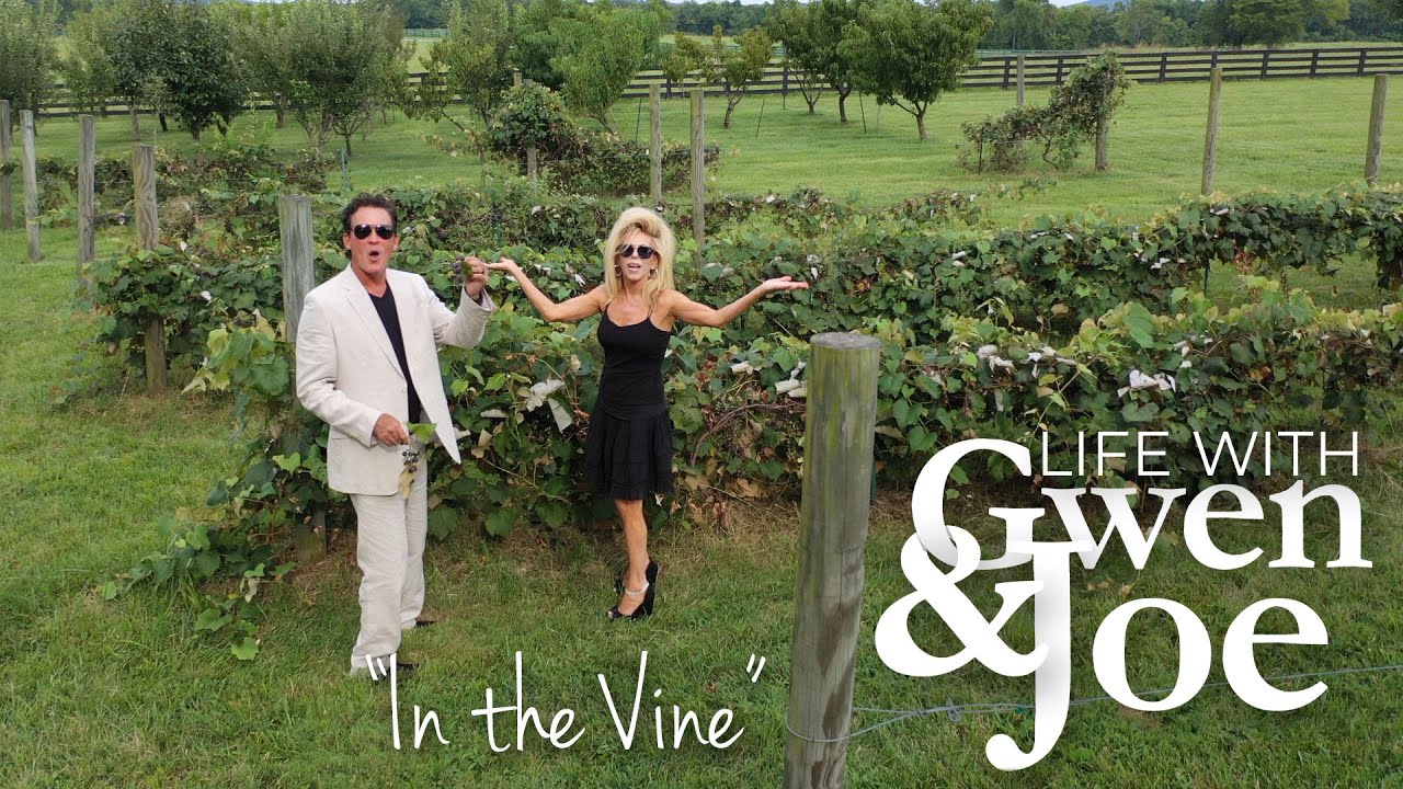 In the Vine | Life with Gwen & Joe