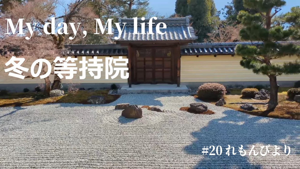 【暮らしVlog＃20】等持院/冬の庭園/白砂の美しさ/２月のある日に訪れた等持院です
