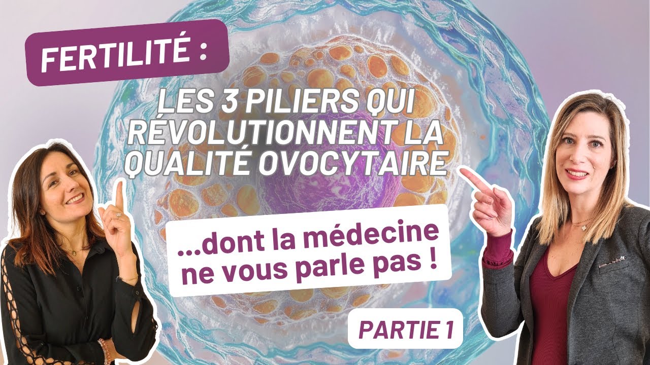 Les 3 piliers déterminants de la qualité ovocytaire - Partie 1