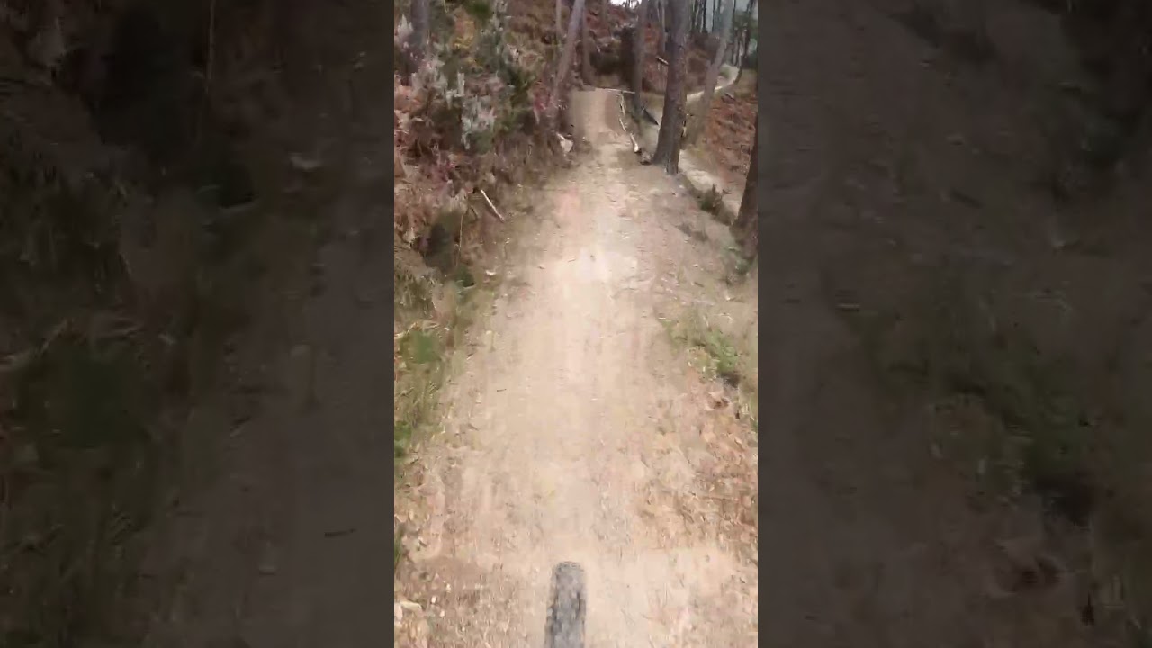 Il Tono - Camaiore #mtb #camaiore #tono #iltono #iosonofreeride