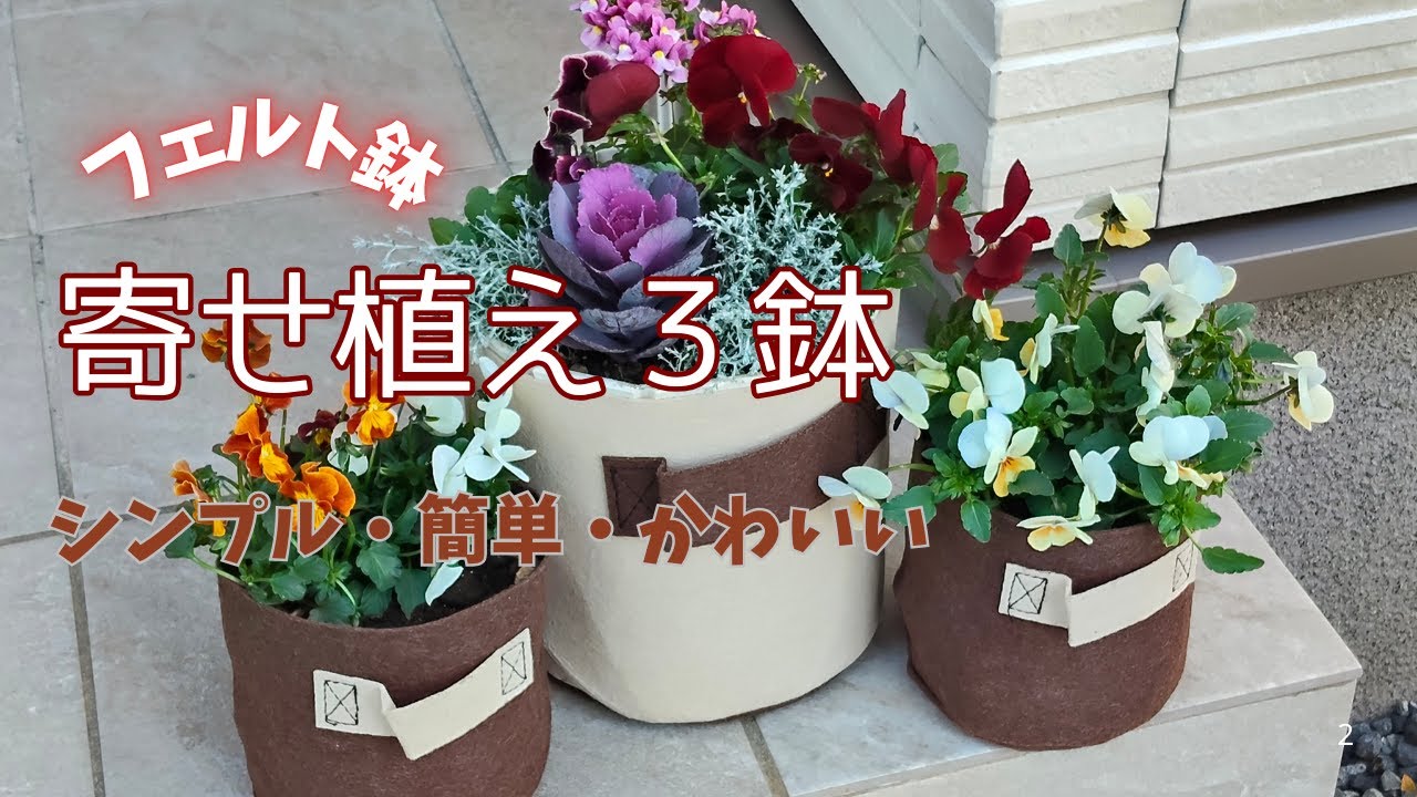 【寄せ植え】セリアのフェルト鉢で簡単寄せ植え/ヴァイオリンコンサート行ってきました