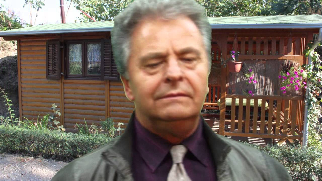 Slavko Pavlović -  Idi