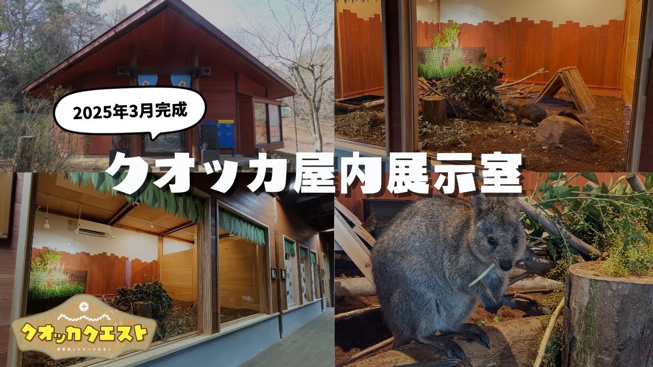 【クオッカクエスト】クオッカ屋内展示室