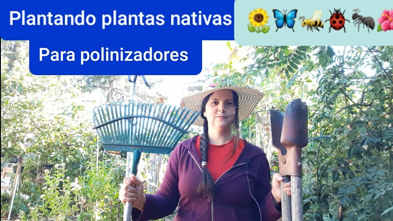 Plantando plantas nativas-autoctonas de California.