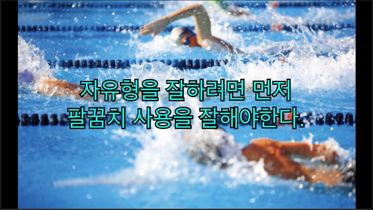 자유형을 잘하려면 팔꿈치를 사용하는 방법을 먼저 익히도록 하자.