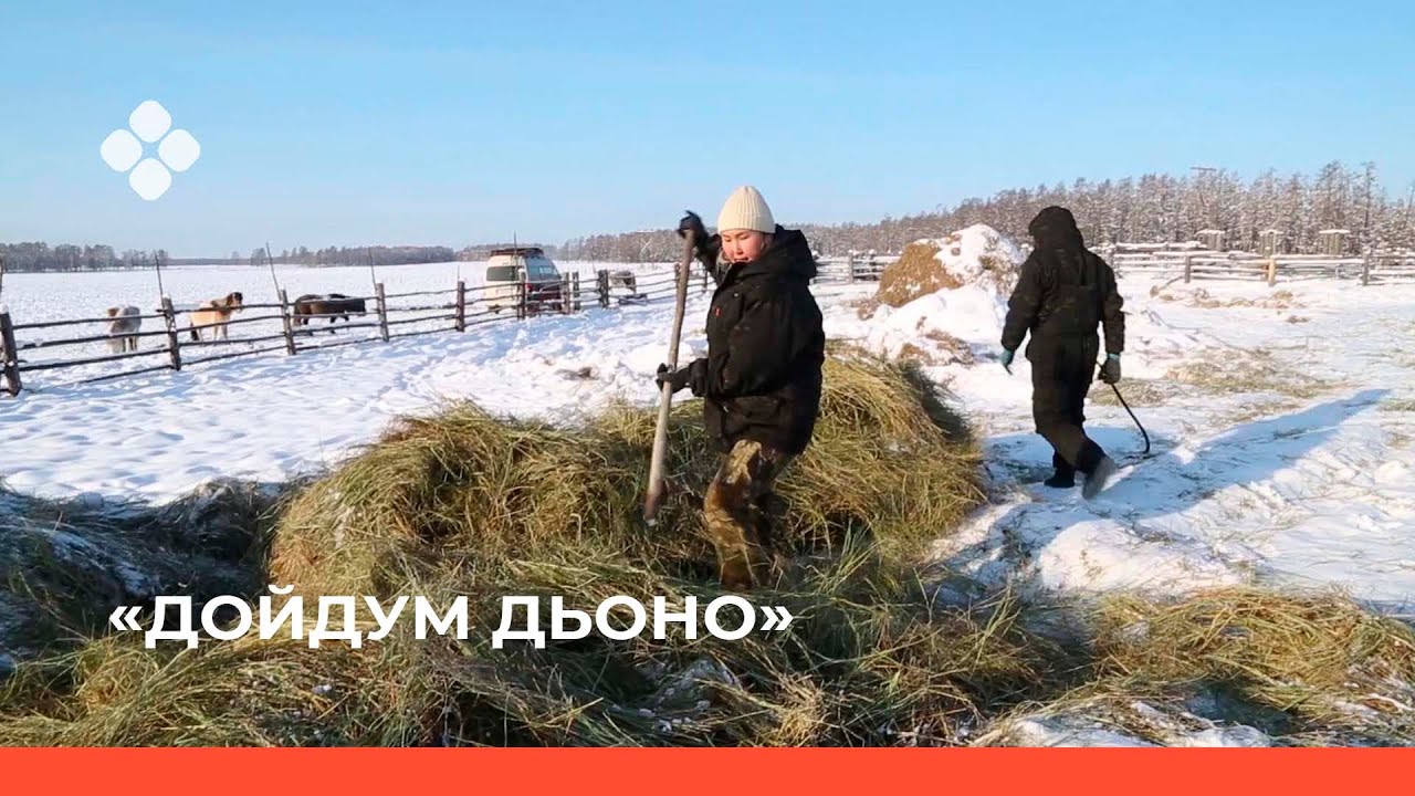 «Дойдум дьоно» биэриигэ: сылгыһыт Розалия Габышева (14.03.22)