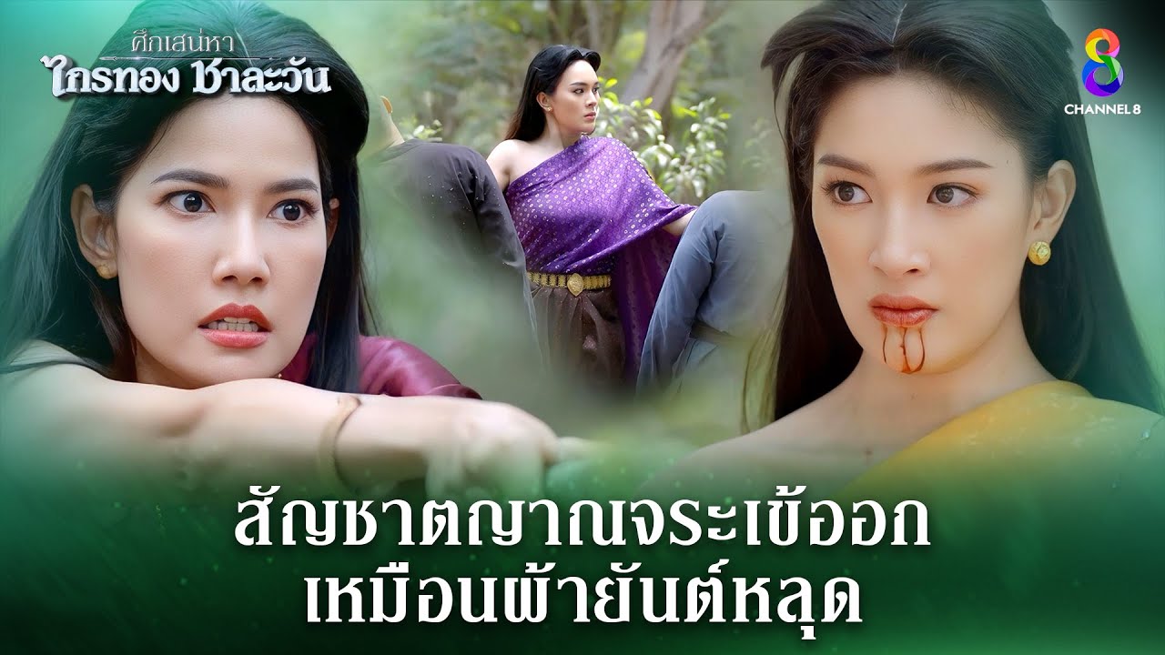 สัญชาตญาณจระเข้ออก เหมือนผ้ายันต์หลุด | HIGHLIGHT ศึกเสน่หา ไกรทอง ชาละวัน EP.34 | ละครช่อง8