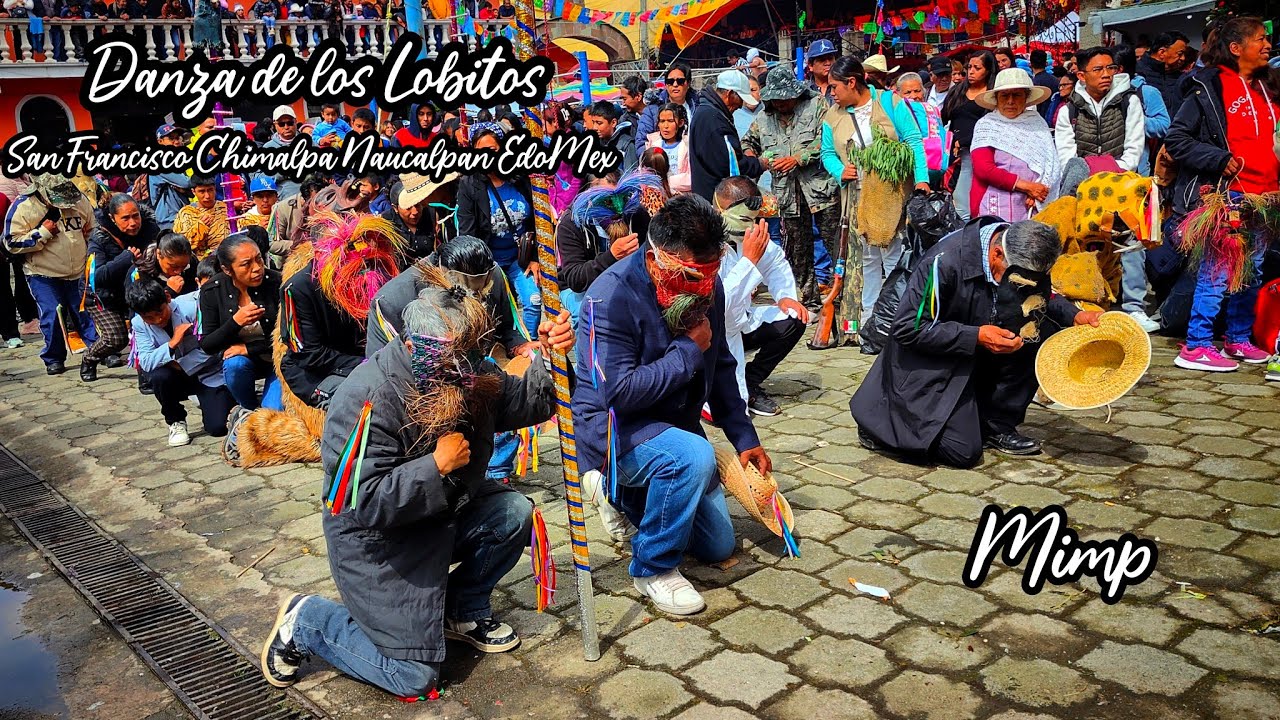 Danza de los Lobitos de San Lorenzo Huehuetitlan/San Francisco Chimalpa 2024