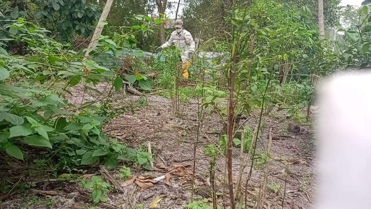 Exploring Traditional Farming Techniques in Rural Areas