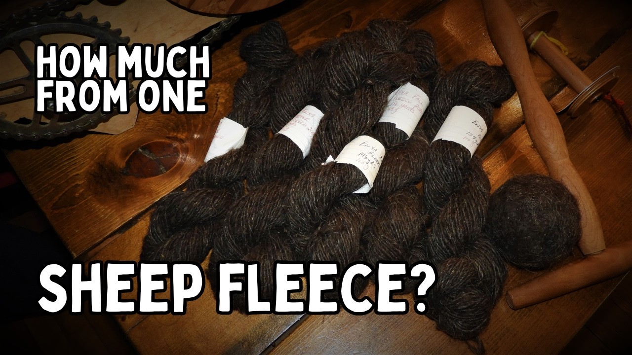 HAND SPINNING Our Icelandic SHEEP WOOL Into Yarn (From Wool to Yarn)