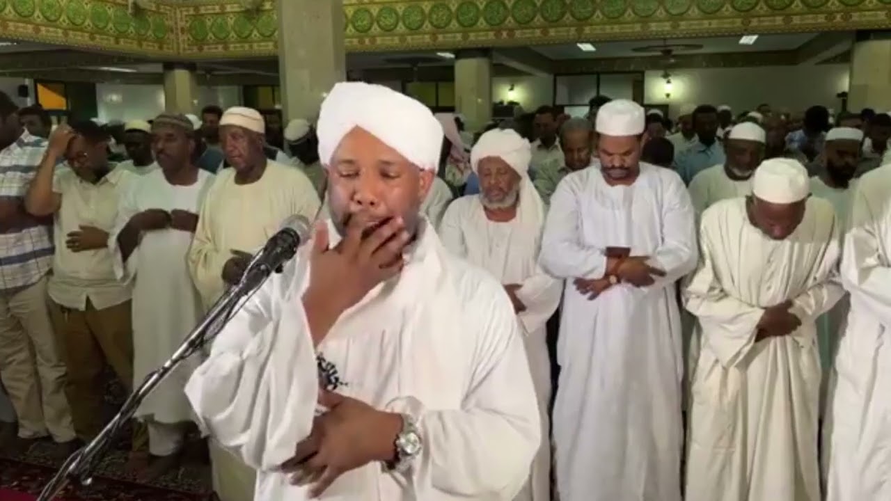 شيخ الزين محمد احمد - سورة فصلت