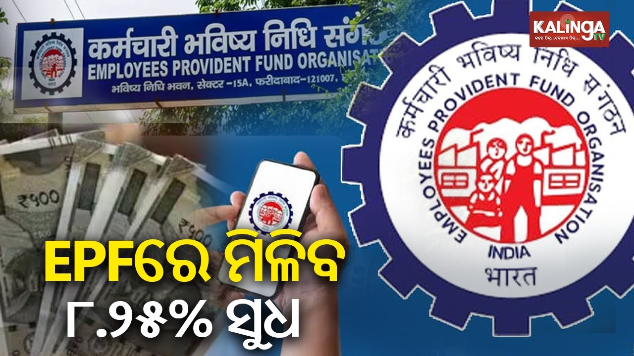 EPFO interest rate will continue to be 8.25 pc for FY2024-25 | Kalinga TV