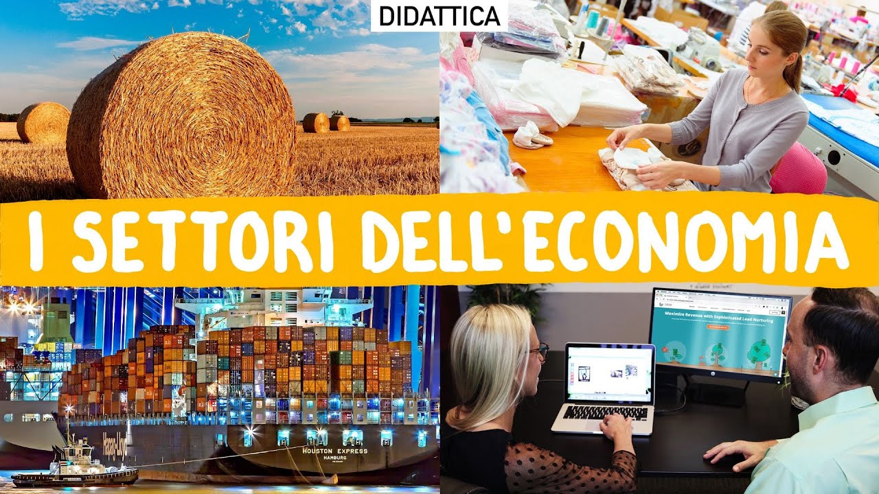 Didattica: i SETTORI dell'ECONOMIA