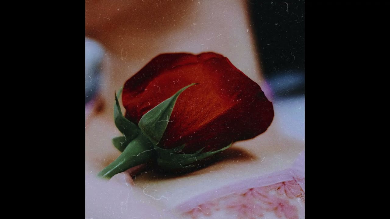 [FREE] 