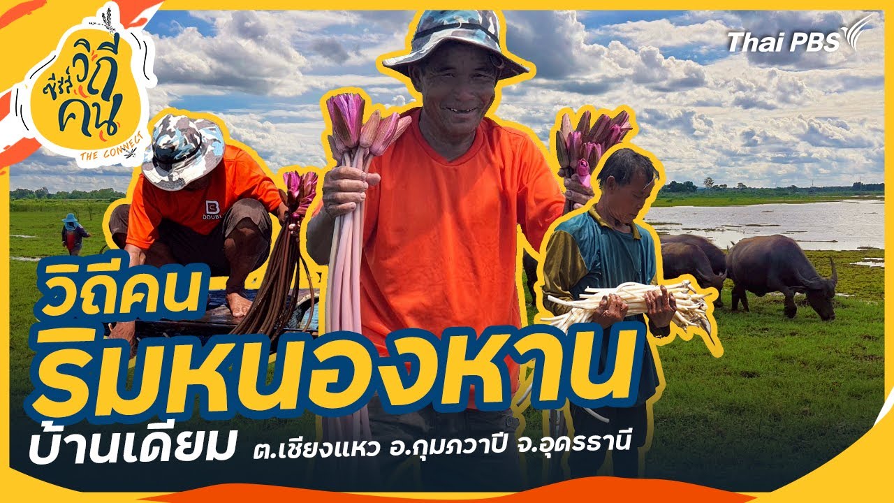 วิถีคนริมหนองหาน บ้านเดียม ต.เชียงแหว อ.กุมภวาปี จ.อุดรธานี | ซีรีส์วิถีคน