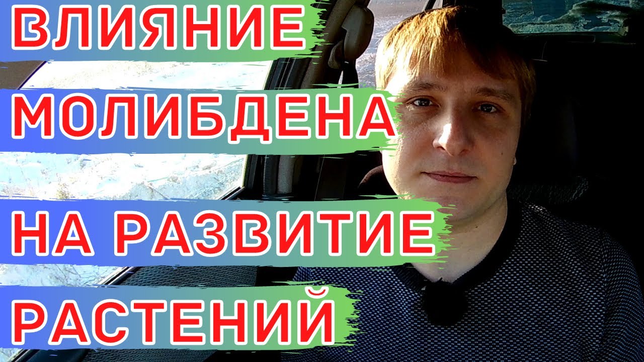 Роль молибдена для растений. Удобрение - молибдат аммония.