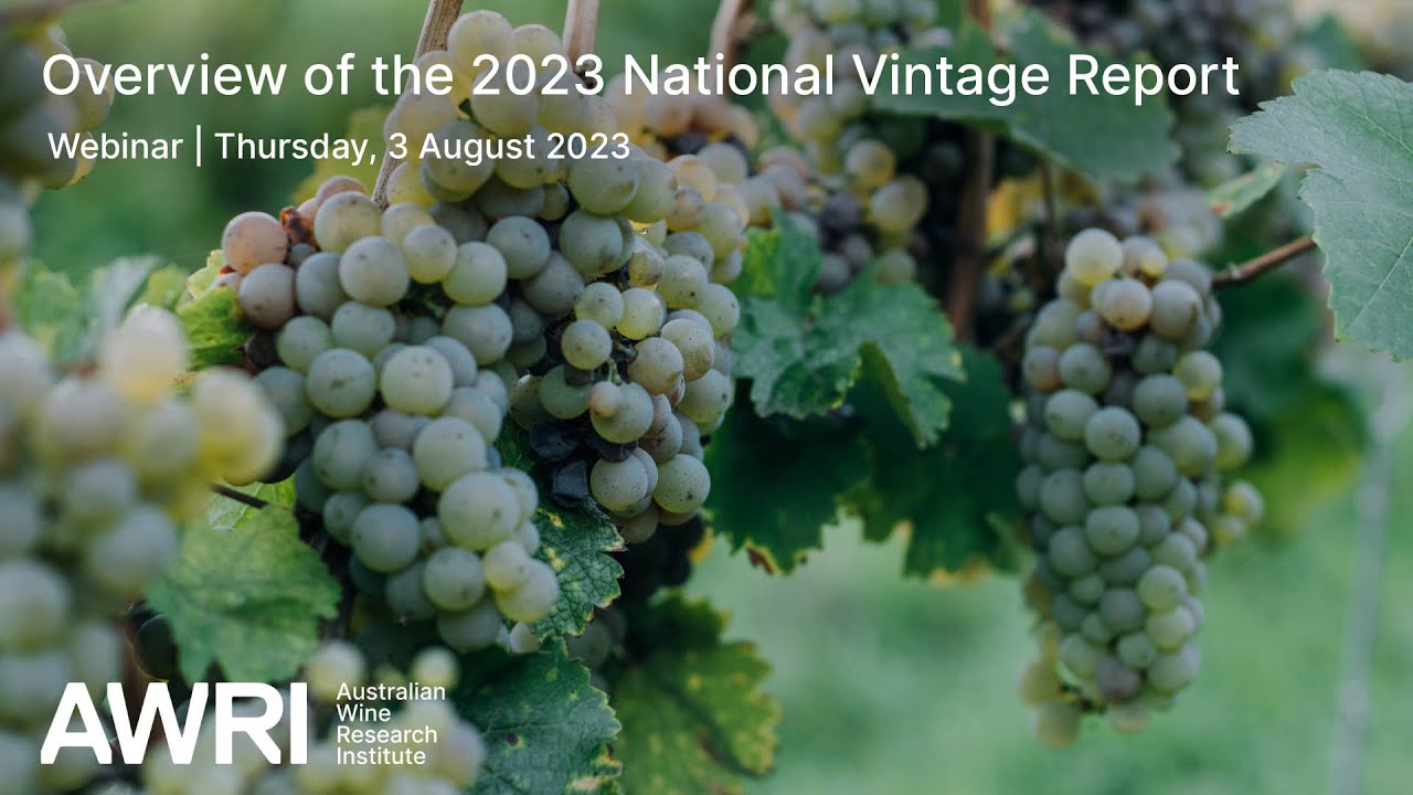 Overview of the 2023 National Vintage Report