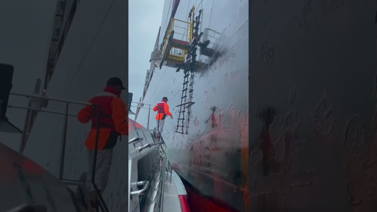 shorts - pratico subindo no navio