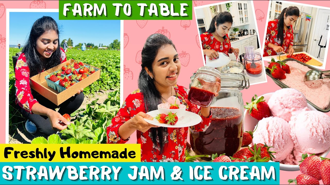 🍓 Strawberry தோட்டம் | Making Simple & Easy Ice Cream + Jam | Homemade Recipe | Farming -Tamil VLOG