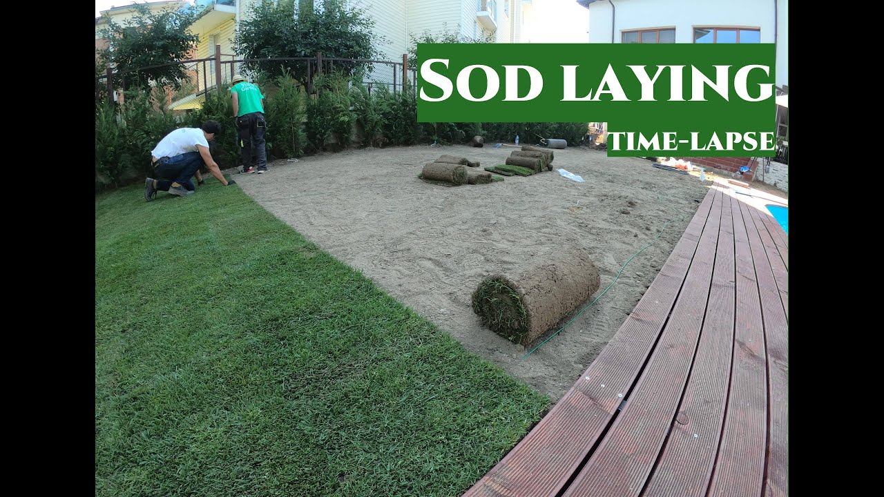 Полагане на тревен чим || Sod laying time-lapse