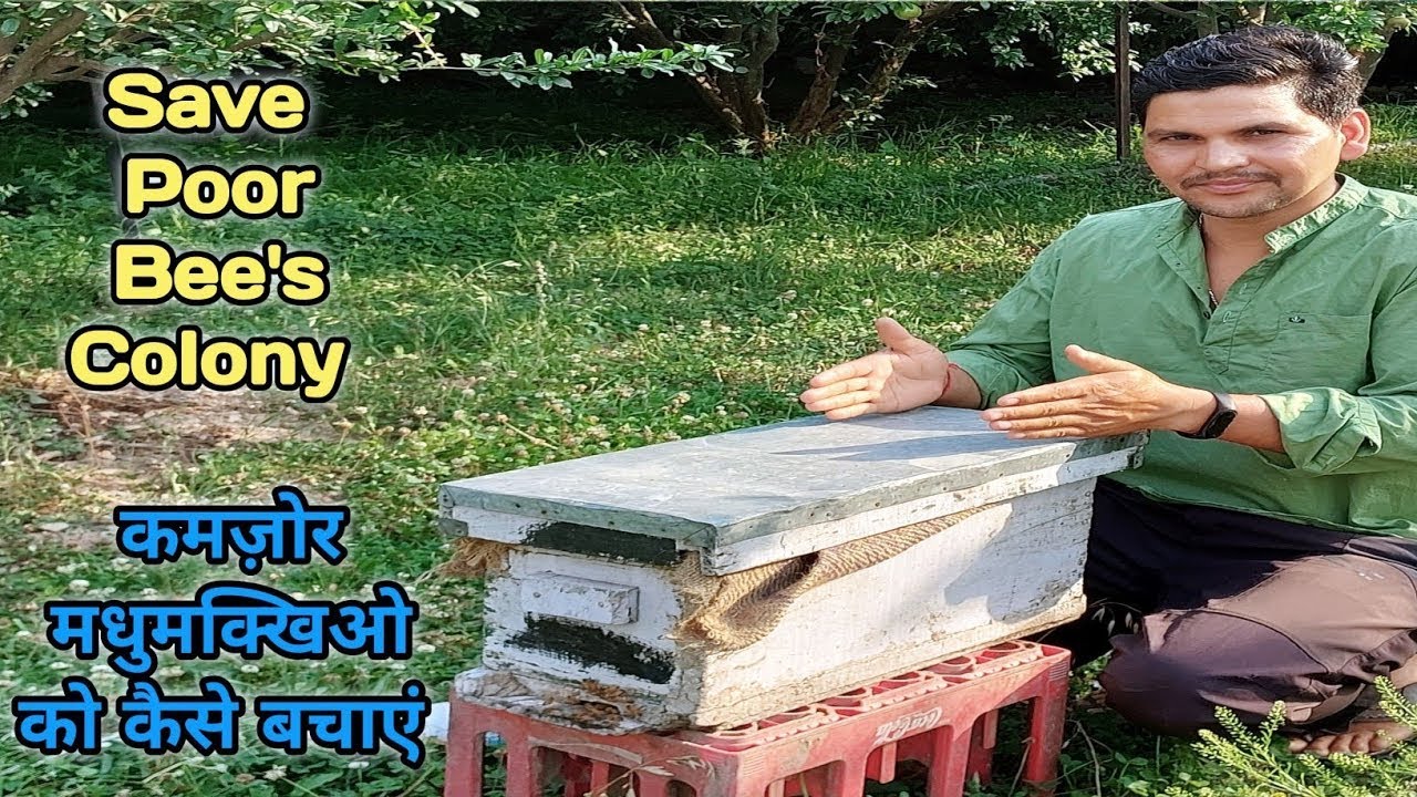Results Of Small Box !!! छोटे बॉक्स एक फ़ायदे अनेक