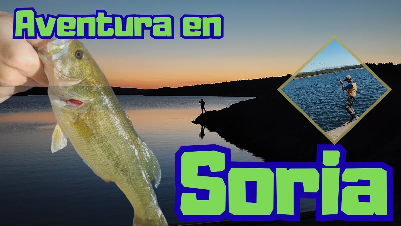 🎣 Aventura de Pesca en Soria | Black Bass, Vivac y Naturaleza Salvaje