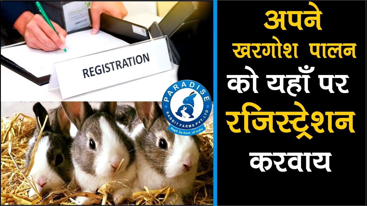 अपने खरगोश पालन को यहाँ पर रजिस्ट्रेशन करवाय  | Rabbit Farming | Paradise Rabbit Farms Pvt.Ltd.